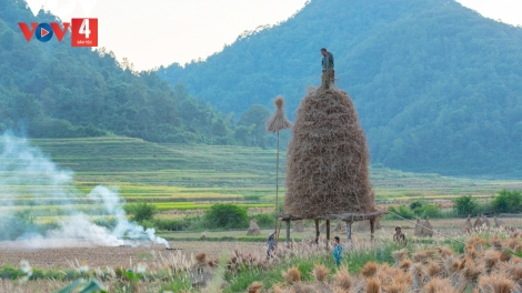 Cằm toẹn: BẤU ĐẢY NGÒI NẨƯ