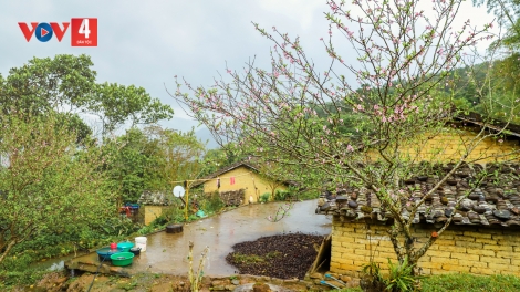 CHƯƠNG TRÌNH KHAY HENG TÀY - NÙNG  (Thứ Hai, Vằn xo 9 bươn 1 pi 2023)