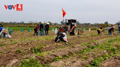 SLẢNH QUẢNG NINH TẢ KHỎ ĐẢY KHOÁI TẢI ẾT CHANG TẰNG NẶM MƯỜNG