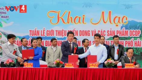 CÁP CĂN HẾT KIN SLE BẠI THÌNH CÚA ĐĂM CHAY KHAI TẢY CHÈN