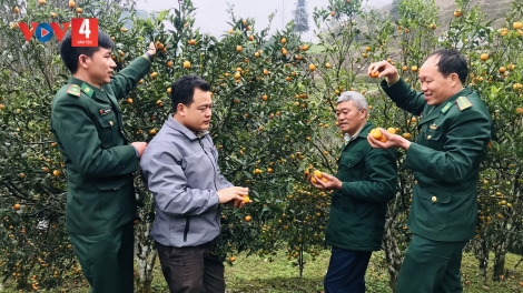 Vùng DTTS thoát nghèo nhờ cây, con giống vật nuôi mới