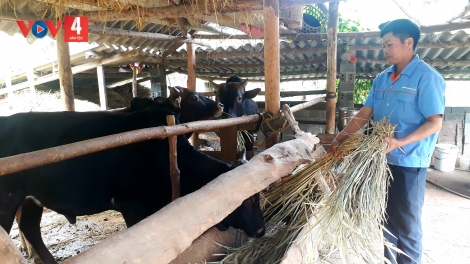 CHÀI LÒ VĂN QUỐC TẢ KHỎ PJOM TỐI TÀNG HẾT KIN
