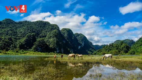 Thảo nguyên đẹp như tranh hút khách du lịch đến xứ Lạng