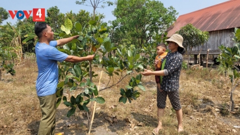 Chuyện về đảng viên Y Al Trei - trưởng buôn Bhôk