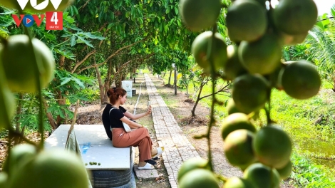 RAHRA U MINH KHIK VEIK BEIN SAIK CAI TAU – KHIK VEIK JANIH MENG KAN PIAH CAKROK DU LICH 