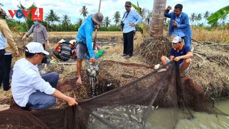 TẲNG LƯỜN VẠ PANG HƯA XA TÀNG HẾT KIN HẨƯ LẨN PÁC PỈ NOỌNG TỨC PẮT PJA CỦNG NHẰNG KHỎ