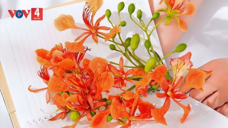 CHƯƠNG TRÌNH KHAY HENG TÀY NÙNG  (Chủ Nhật – Vằn 21/05/2023)