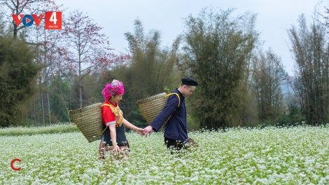  CHƯƠNG TRÌNH KHAY HENG TIỂNG TÀY - NÙNG  (Thứ Hai, Vằn 26/6/2023)