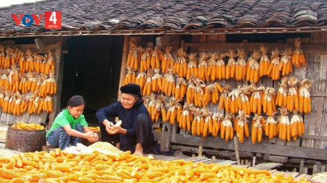 CHƯƠNG TRÌNH KHAY HENG TÀY-NÙNG  (Chủ nhật – Vằn 4-6-2023)