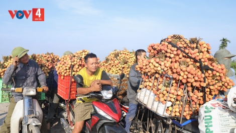 MÁC PÁI HẢI DƯƠNG KHAI ĐẢY THÂNG LAI TỈ QUÂY QUẢNG