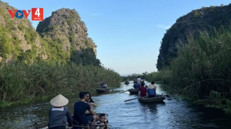 Trải nghiệm chèo thuyền khám phá đầm Vân Long