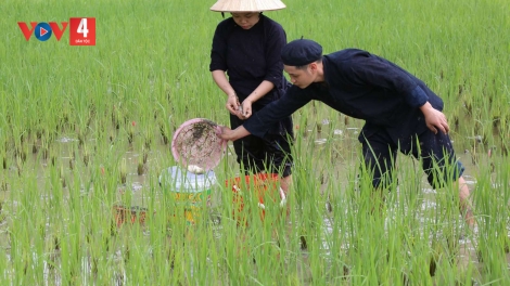 NÈN XO LỘC CÚA CẦN TÀY, NÙNG