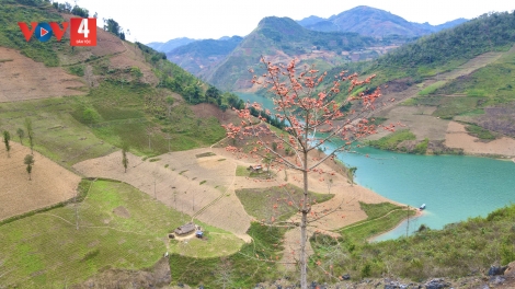 Thơ mộng hẻm tình yêu Khâu Vai