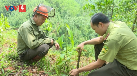 BẮC KẠN: LỒNG LÈNG CHAY TẺO BẠI BÚNG ĐÔNG MẠY MẺN THAI RUỒI NHOÒNG FẠ ĐÉT PÍCH HÂNG VẰN