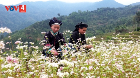 CHƯƠNG TRÌNH KHAY HENG TÀY - NÙNG  (Thứ Ba– Vằn 11/07/2023)