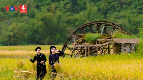 XƯỚNG HẢT SLI LƯỢN NÈM CẰM SLẮNG CÚA PỈ NOỌNG TỈNH ĐÀI (Chủ Nhật, vằn 16/7/2023)