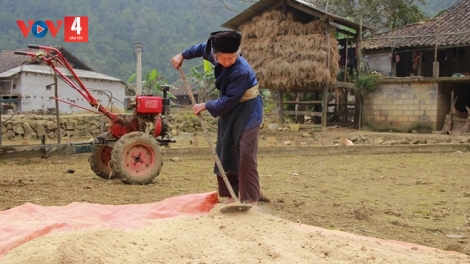 CHƯƠNG TRÌNH KHAY HENG TÀY NÙNG  (Thứ Hai – Vằn 14/08/2023)