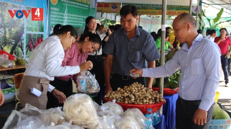 BA RIA - VUNG TAU: DAOK BA PANDAP OCOP NAO ATAH