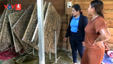 Lâm Đồng: nữ cán bộ dân tộc thiểu số nhiều đóng góp vì buôn làng