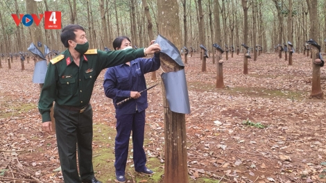 CHƯỚNG CHẮP PIÊN CHÁI MẮN CHẮN DÚ PẠNG BẮC TÂY NGUYÊN