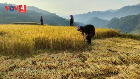 Yên Bái dành nhiều nguồn lực cho công tác giảm nghèo vùng dân tộc thiểu số