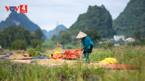 NHÀ EM Ở LƯNG ĐỒI  