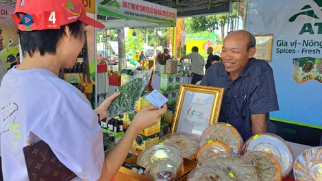 Gia Lai: Thúc đẩy giao thương vùng đồng bào dân tộc thiểu số và miền núi