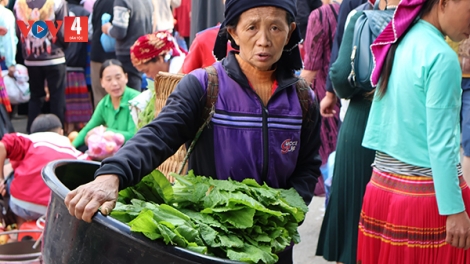 Lên cao nguyên đá đi chợ phiên Mèo Vạc