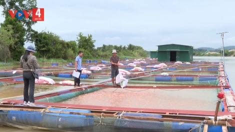 LIỆNG PJA ĐẢY CHOẢN LẨN PÁC TRIỆU MƯN TỨ PÉ NẶM QUẢNG DÚ ĐẮK NÔNG