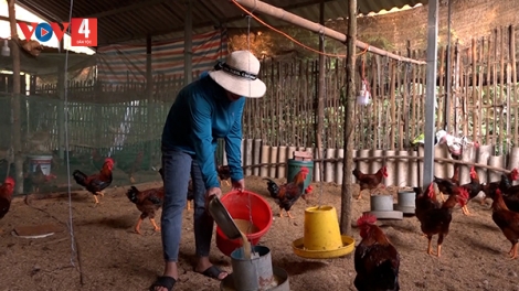 Yên Bái chủ động nguồn cung các loại thịt cho thị trường Tết