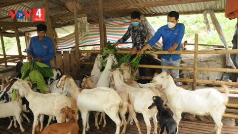 Thanh niên Sơn La huy động hơn 20 tỷ cho các hoạt động thiện nguyện