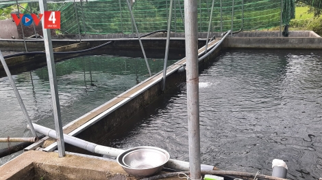 LIỆNG PJA TẦM KHAI TẢY CHÈN