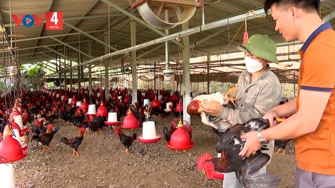 YÊN BÁI CHẮP XẶP PAO XÌNH ĐO BẠI THÌNH NỰA SLE KHAI CHANG SLÌ NÈN CHIÊNG