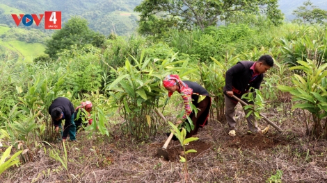 PỈ NOỌNG DÚ BÚNG PIÊN CHÁI LAI CHÂU TẢ KHỎ PJOM CÓ TÀNG HẾT KIN TỨ ĐÔNG MẠY