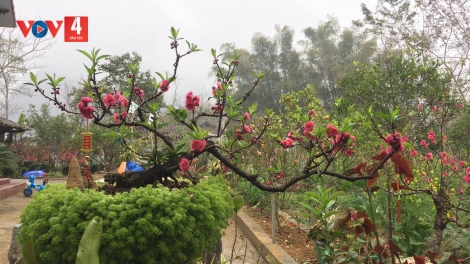 CHƯƠNG TRÌNH KHAY HENG TÀY - NÙNG  XO 3 BƯƠN CHIÊNG (Thứ Hai, Vằn 12 bươn 2 pi 2024)