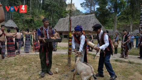 TÂY GIANG: BHUỐIH CRÂNG LOỌNG C’MOO