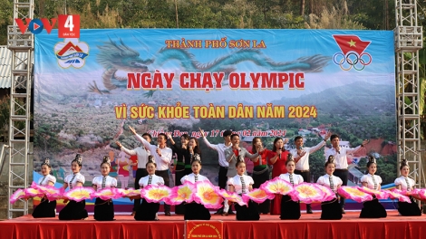 Cung đường chạy ngập sắc xuân trên phố núi Sơn La
