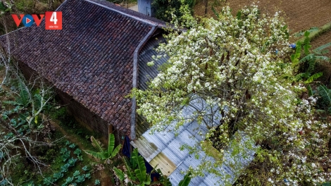 CHƯƠNG TRÌNH KHAY HENG TÀY - NÙNG (Thứ Năm- Vằn 14 bươn 3 pi 2024)