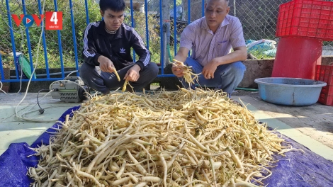 BƠƠN Z’LÂH ĐHARỰT ĐƯƠI TƠỢ BH’RỢ ĐH’RƯAH CHOH BHRỢ TƠƠM ZƠ NƯƠU