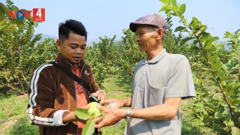 BƠƠN PA CHÔ ZÊN Z’ZĂNG TƠỢ CHÓH ỔI