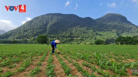 CÔNG AN LÊY CHA MÊẾT C’LÉH BH’RỢ ÂNG ĐƠƠNG M’MA CHI PỌC CẮH LIÊM CRÊÊ ĐOỌNG HA ĐHANUÔR K’COONG CH’NGAI ĐHỊ QUẢNG BÌNH