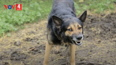 BỘ Y TẾ K’ĐƯƠI PR’HÂN ZÊL CHA GROONG CR’AY DẠI