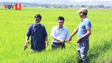 T’BIL HA UL PA XIÊR ĐHA RỰT TƠỢ CHR’NĂP “CHA NEH PHÚ THIỆN”