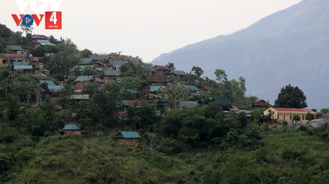 Hương thơm từ quế, ấm no từ rừng