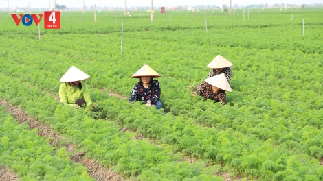 ĐĂM CHAY SLÂƯ ĐÂY- TÀNG HẾT KIN MẤƯ CÚA PỈ NOỌNG