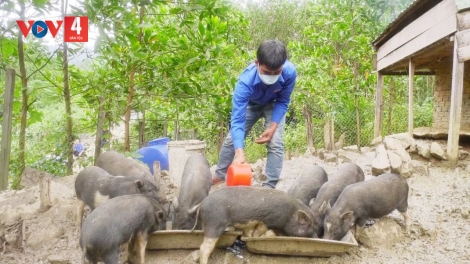 QUẢNG NAM PA ZƯM PA XIÊR ĐHA RỨT BẤC ĐẮH