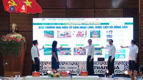 Quảng Nam: Sâm Ngọc Linh trên sàn thương mại điện tử