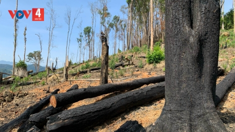 BẤC C’LA CRÂNG ĐHỊ ĐẮK LẮK CĂH MẶ K’ĐHƠỢNG ZƯ LÊY CRÂNG