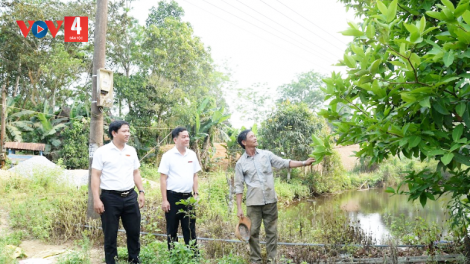 Người dân miền núi Quảng Nam đổi đời nhờ vốn vay phát triển sản xuất