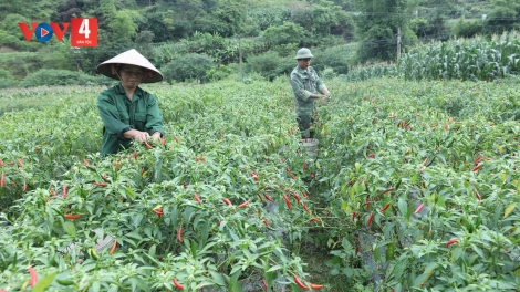 LẠNG SƠN LỒNG LÈNG CHAY CO MÁC PHẾT LAI SLE KHAI 